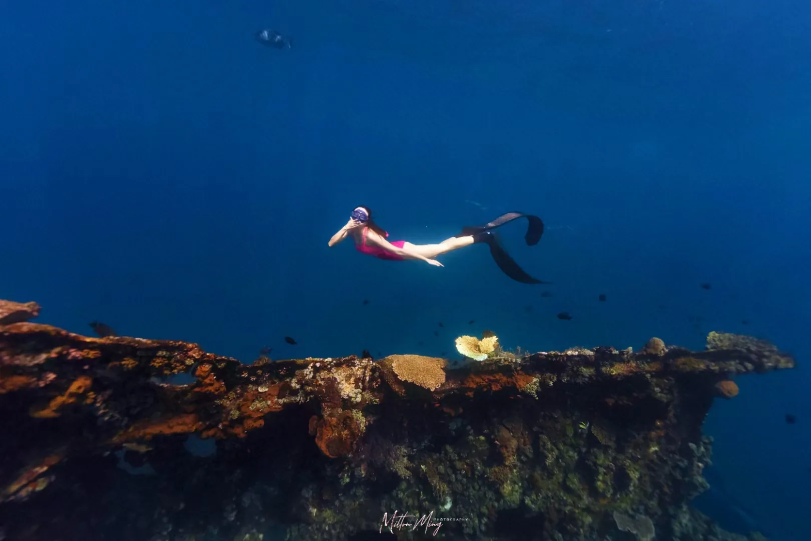 进阶自由潜水员教练 — 喵腾 MIL DIVING 水下摄影