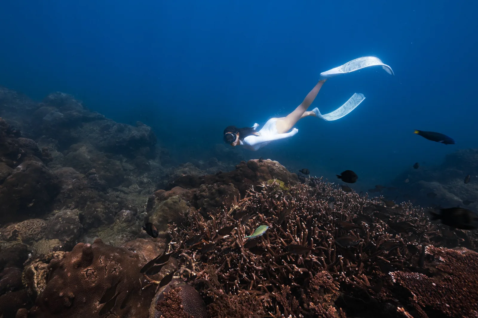PADI 进阶开放水域潜水员