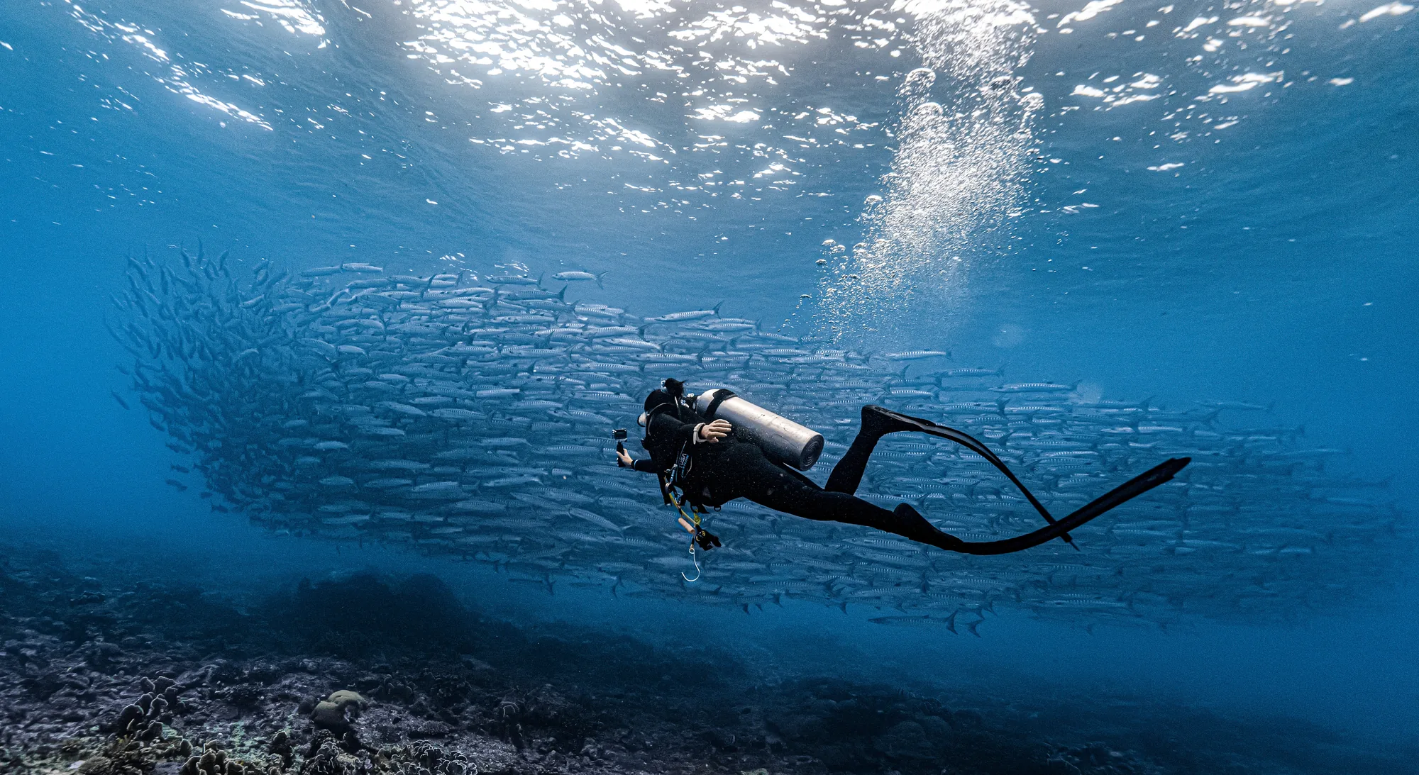 探险潜水员 — 喵腾 MIL DIVING 水下摄影
