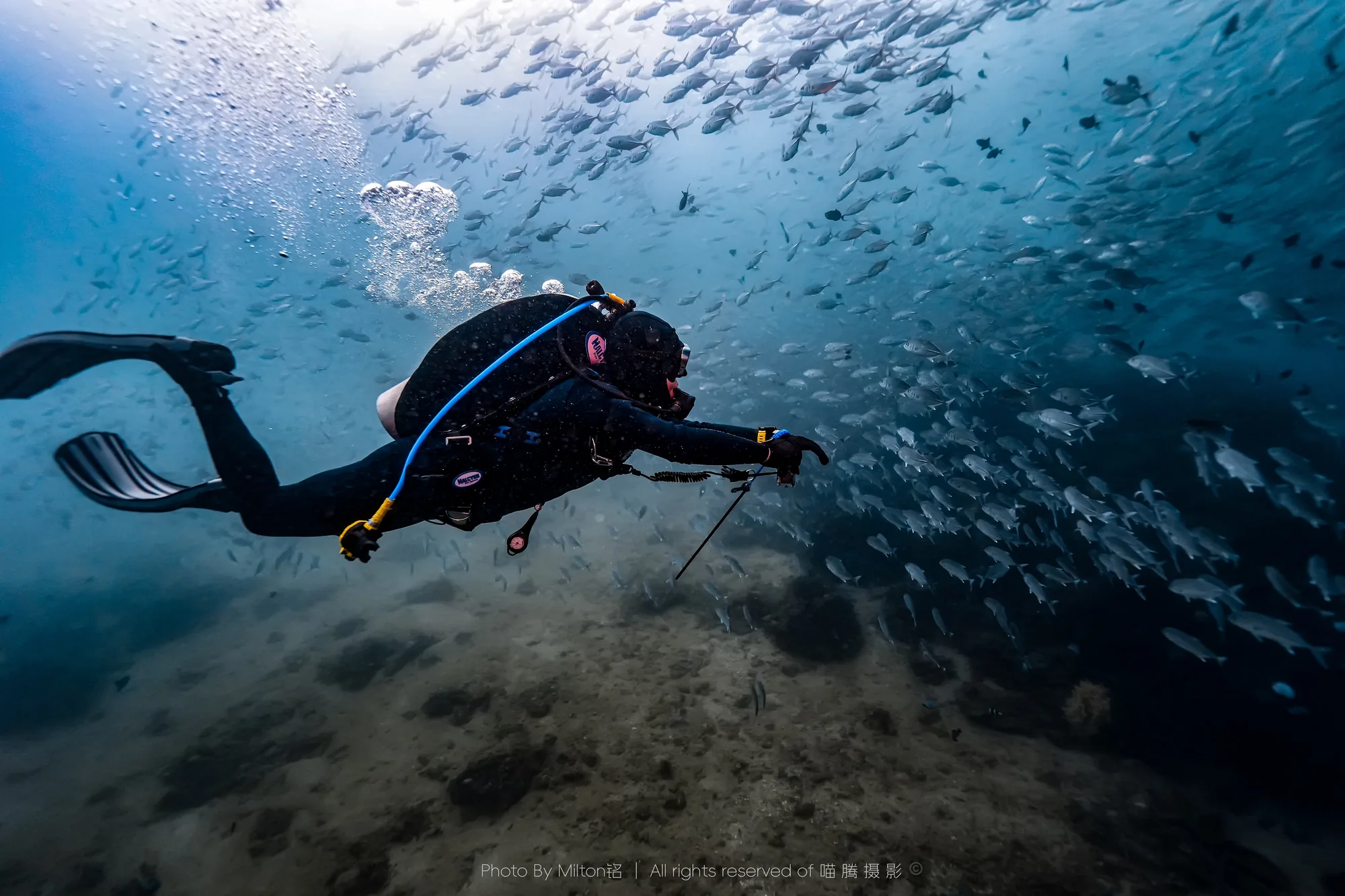 高氧潜水员 — 喵腾 MIL DIVING 水下摄影