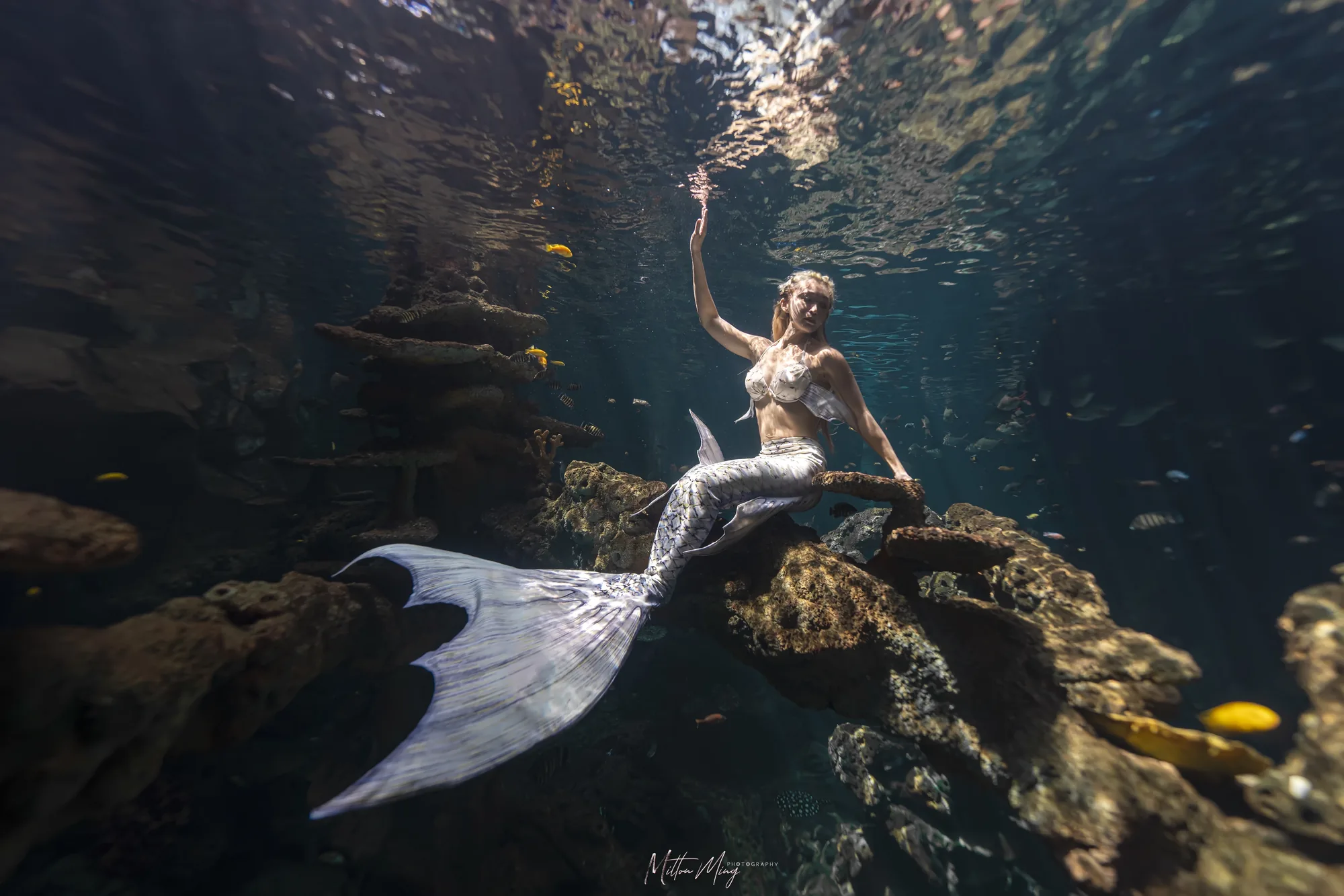 美人鱼 — 喵腾 MIL DIVING 水下摄影