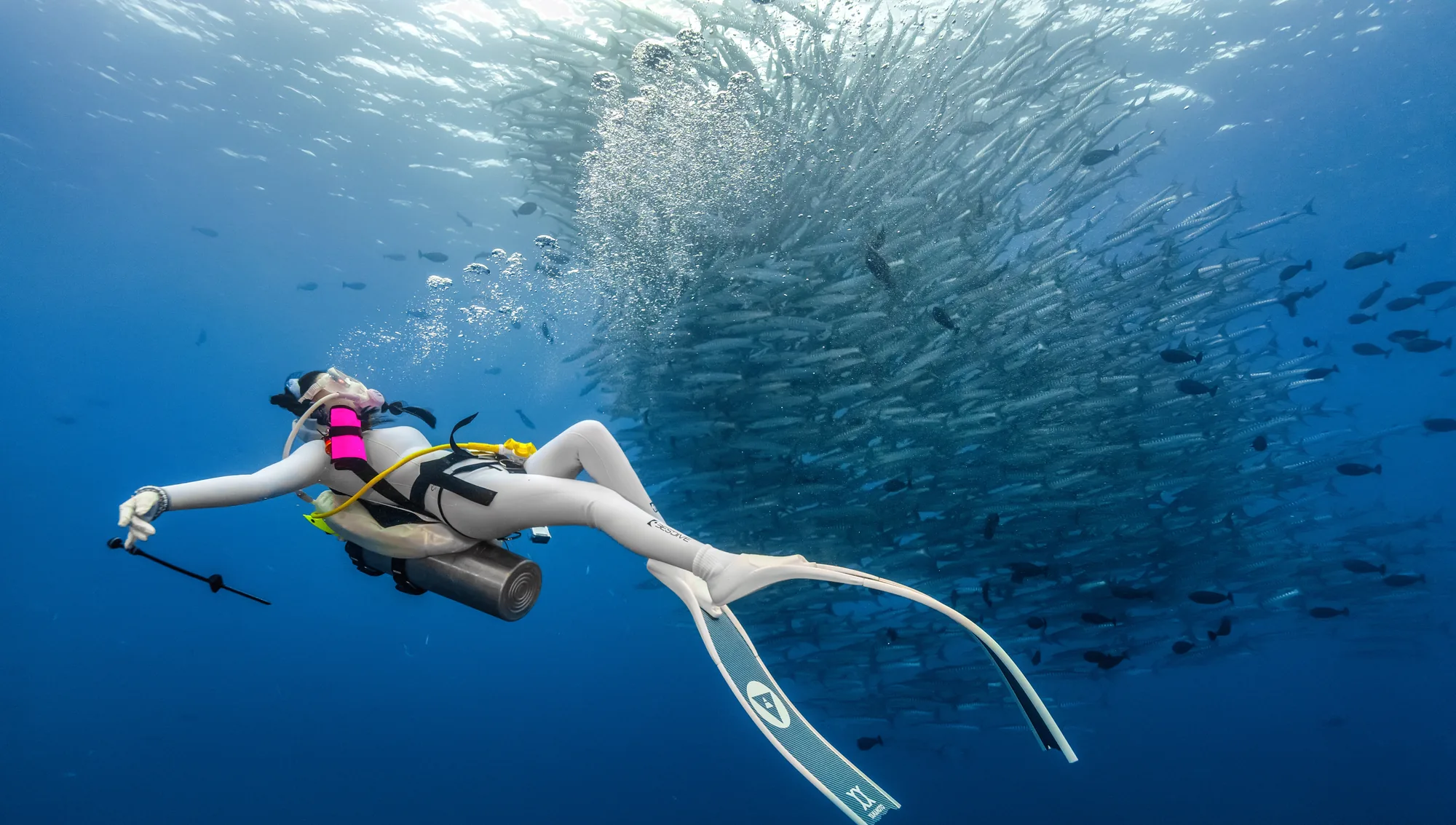 开放水域水肺教练 — 喵腾 MIL DIVING 水下摄影