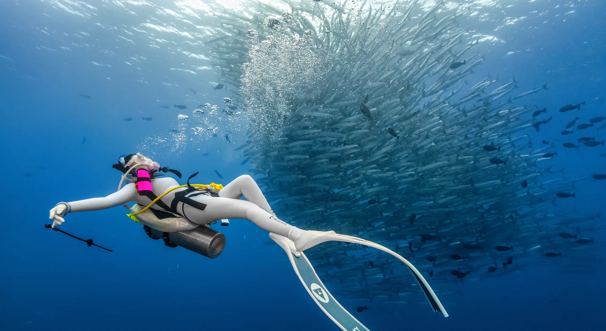 顶尖中性浮力 — 喵腾 MIL DIVING 水下摄影