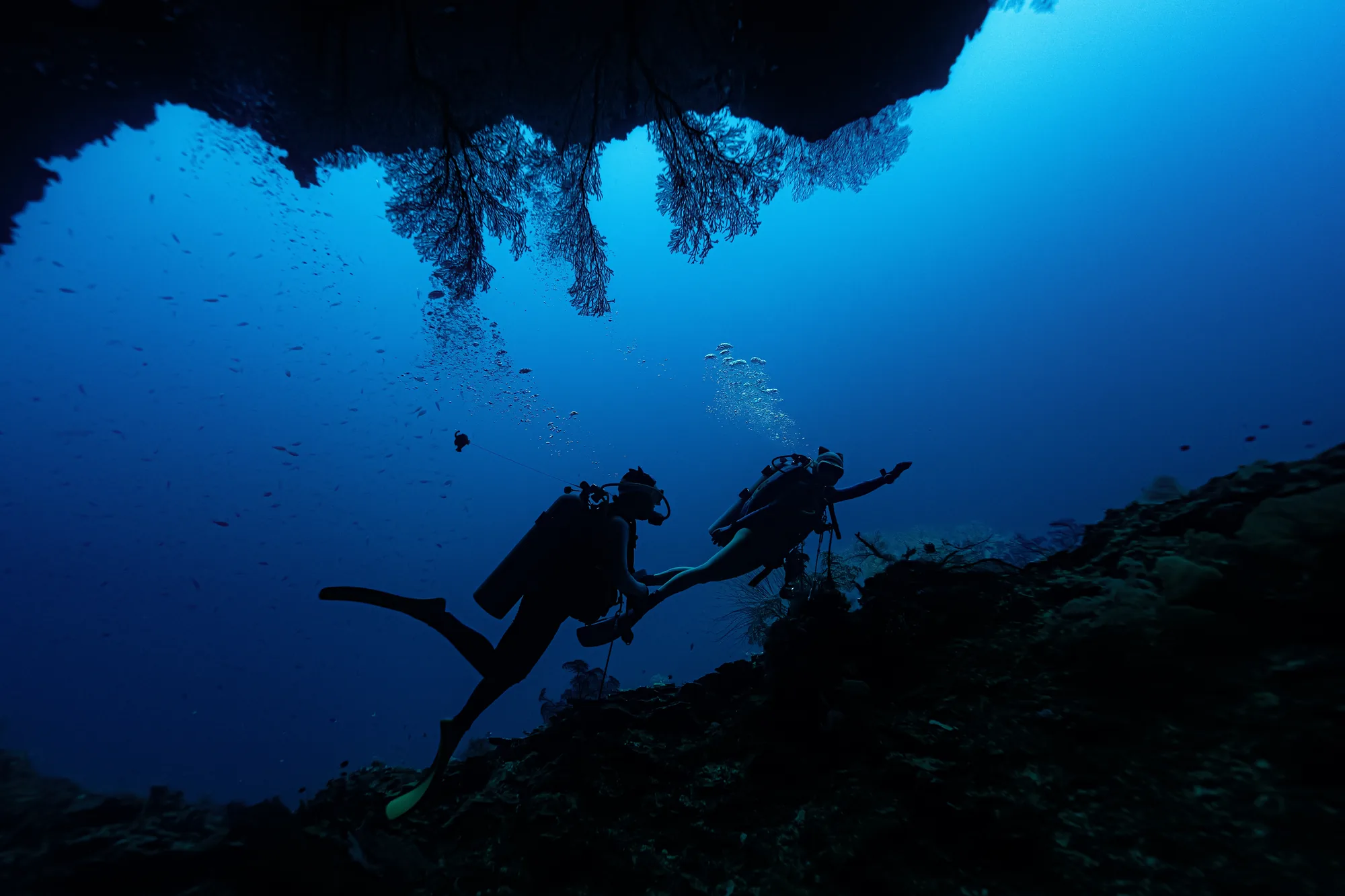 水底导航潜水员 — 喵腾 MIL DIVING 水下摄影